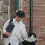 Milo, at a garden gate, being climbed by a border collie